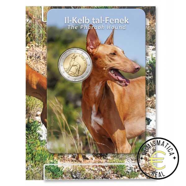 MALTA 2026 2 EUROS CONMEMORATIVA UNC - SABUESO FARAON MALTES EN COINCARD OFICIAL (CARTERA) - BU. - Imagen 3
