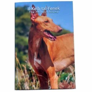 MALTA 2026 2 EUROS CONMEMORATIVA UNC - SABUESO FARAON MALTES EN COINCARD OFICIAL (CARTERA) - BU.