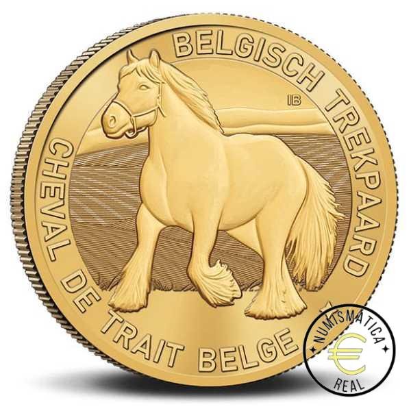 BELGICA 2026 2,5 EUROS COINCARD CONMEMORATIVA UNC - "EL CABALLO DE TIRO BELGA" - VERSION FRANCESA BU. - Imagen 3